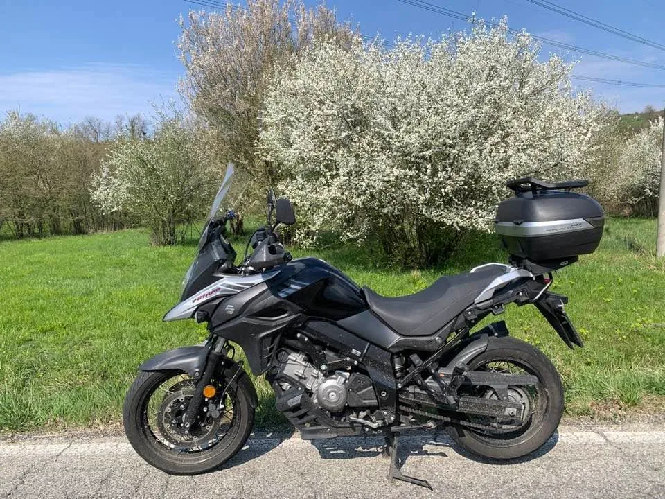 Sparky, la mia V-Strom 650, tra gli alberi fioriti del basso Piemonte.
